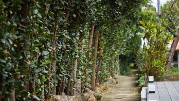 テラス / パティオ / 2