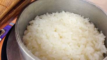 食事・飲み物 / 33