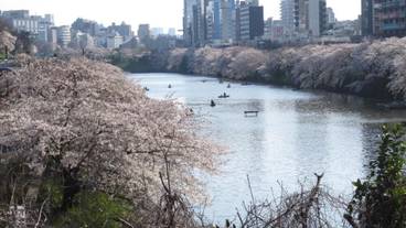 施設の敷地 / 26