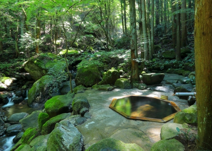 こちらは貸切風呂「深碧（しんぺき）」。原生林の中に溶け込むような気分で木々のざわめきに耳を傾けて