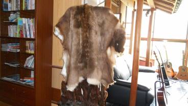 施設内の設備 / 14