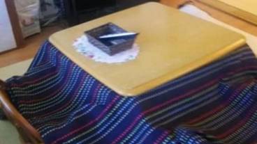 客室の設備とサービス / 19