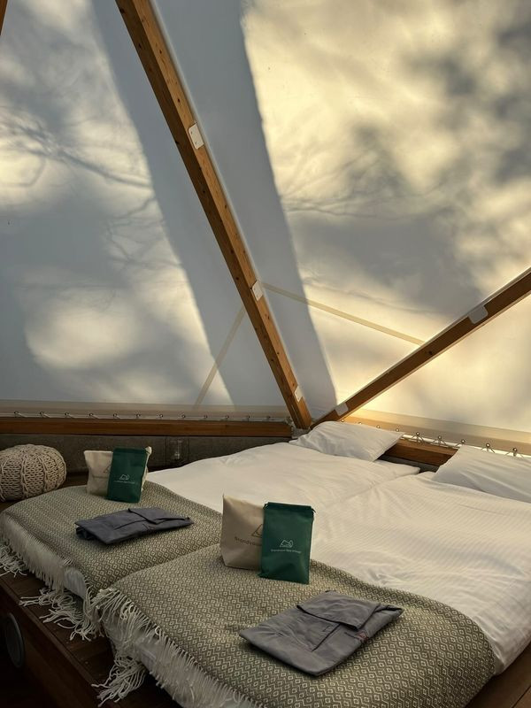 nozobook2022さんの写真 / 1