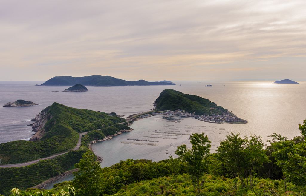透明度が高すぎる海に夢中！「柏島」1629626