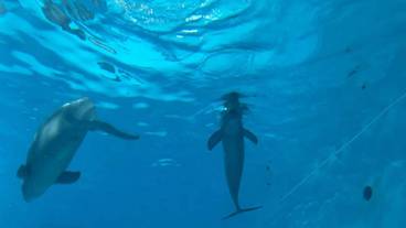 観光スポット / 33