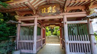 薬王院温泉寺 / 3