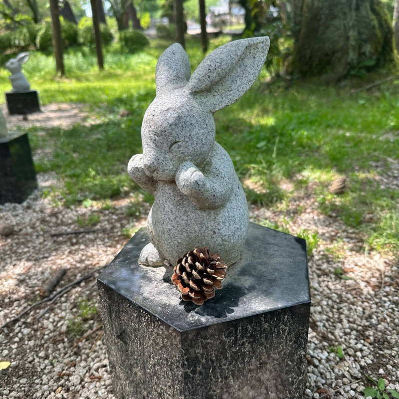 kasuchaaaaanさんの写真 / 3