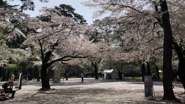 観光スポット / 9