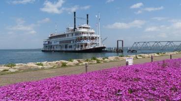 施設からの眺望 / 18