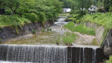 施設からの眺望 / 17