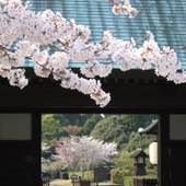 葛城北の丸（静岡県 旅館） / 4