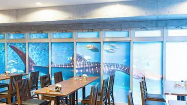 レストラン / 20