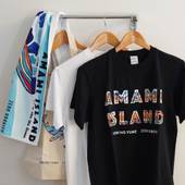 ゼログラヴィティ清水ヴィラ(奄美大島)(鹿児島県 ペンション) / 2