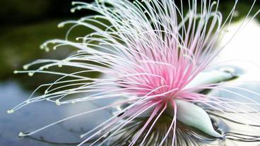 施設の敷地 / 14