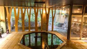 露天風呂付き大浴場 「白龍」 / 2