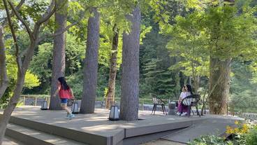 施設の敷地 / 11