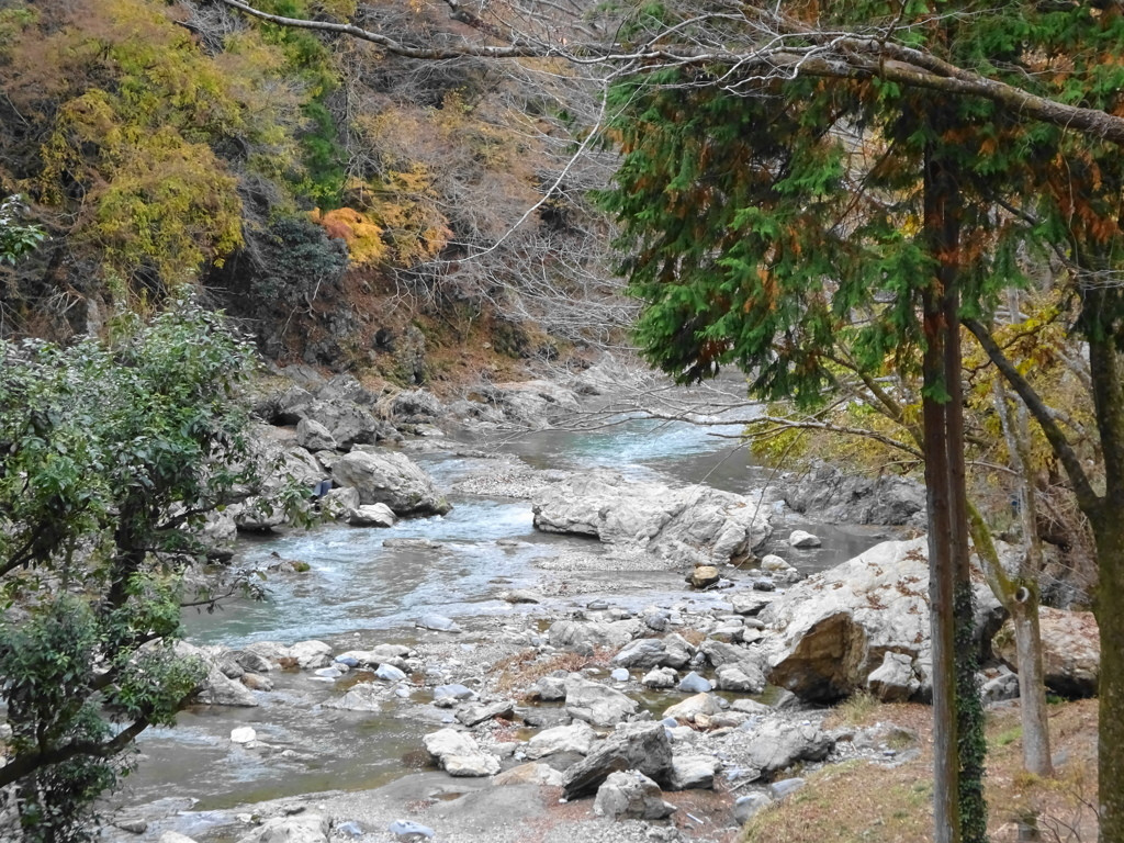 澄んだ川の流れに癒される【秋川渓谷】3751237