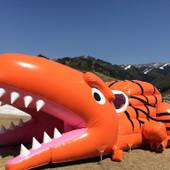 ホテルハーヴェスト スキージャム勝山（福井県 リゾートホテル） / 5
