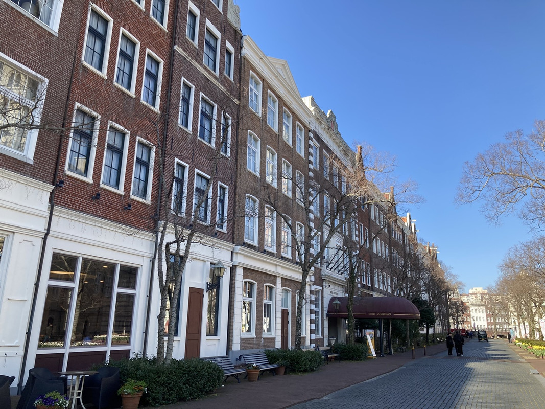 朝のお散歩がおすすめ。