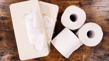 建物のデザイン / 10