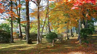 庭園 敷地内 / 12