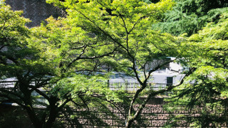 スーペリア トイレ付・シャワールームなし (禁煙)(中庸)