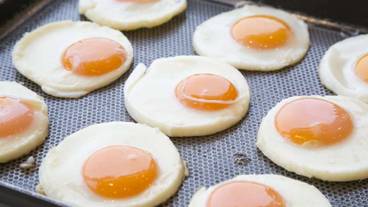 朝食スペース / 29