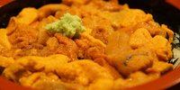 気絶級においしい！一足早く旬が来る北海道・日高で春ウニにノックアウト