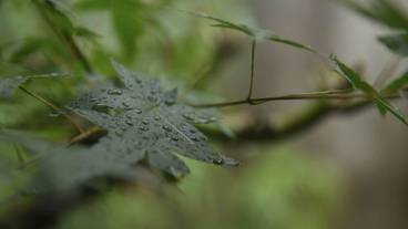 施設からの眺望 / 11