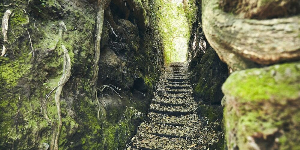 施設からの眺望