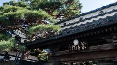 信州善光寺 薬王院