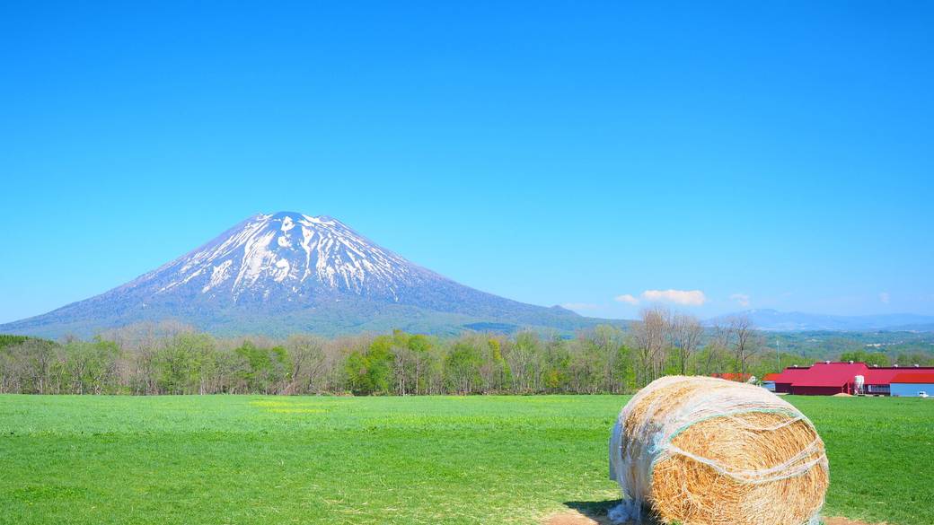 高橋牧場から見た羊蹄山 / 1