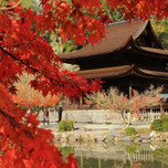 「虎渓山永保寺」の紅葉は心に響く絶景。風光明媚な景色の撮影ポイントを一挙公開！