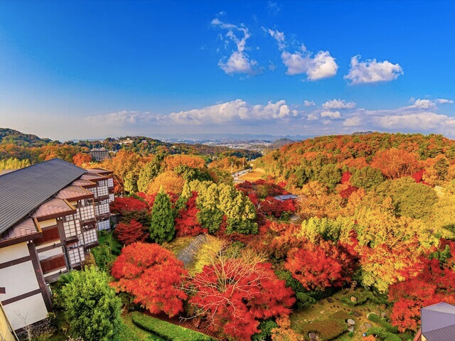宿の敷地内(秋)