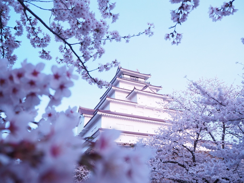 鶴ヶ城(会津若松城)3709484