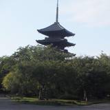 東寺 五重塔（トウジ ゴジュウノトウ）