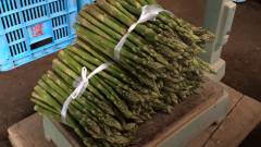 The Vale Niseko（ザ・ヴェール・ニセコ）