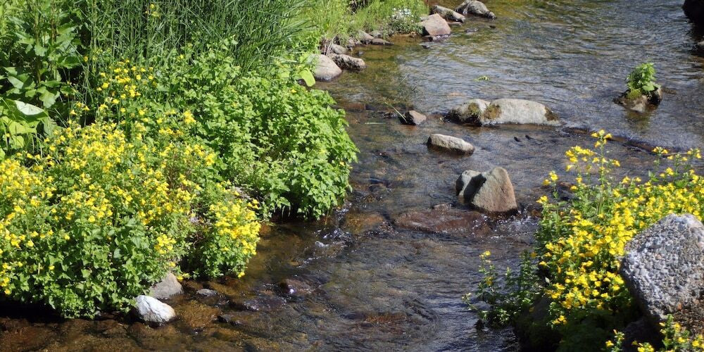 施設からの眺望