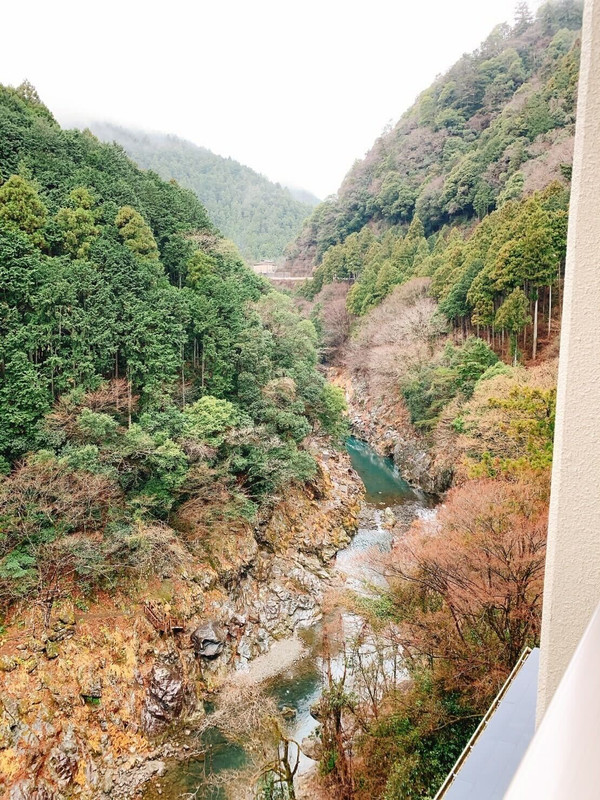 pyk49kypさんの写真 / 2