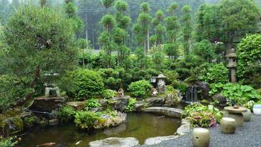 施設からの眺望 / 27