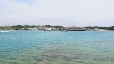 シティ ビュー / 14