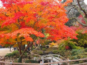 3）尾関山公園【三次】727462
