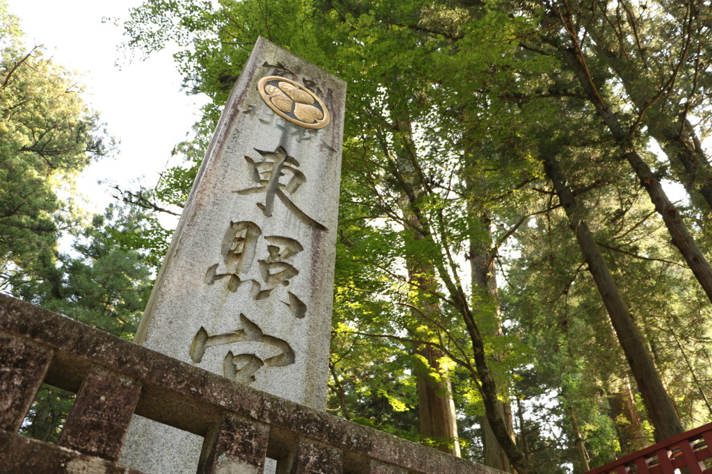 4. 日光杉並木【栃木県日光市】780790