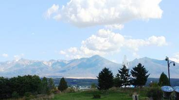 施設の敷地 / 10