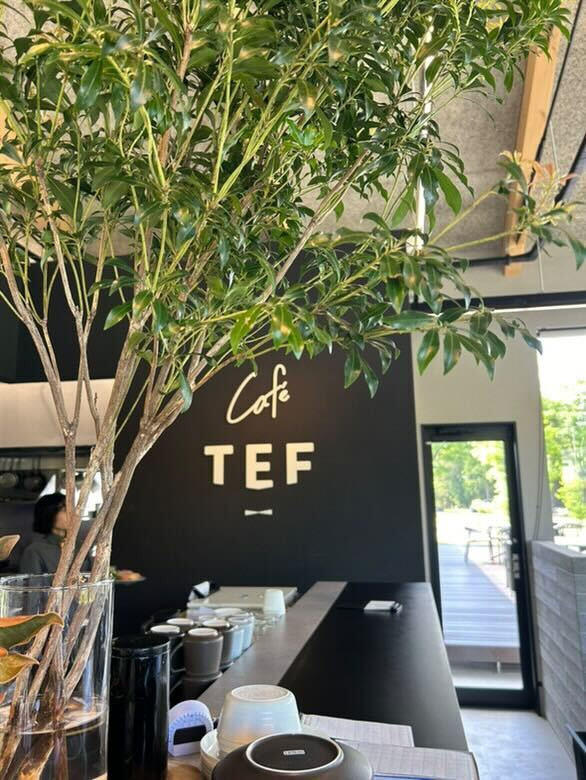 3petites.assiettesさんの写真 / 2