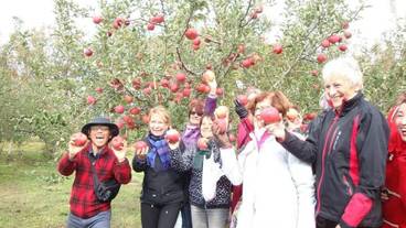 施設の敷地 / 27