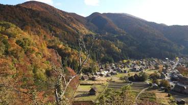 観光スポット / 11