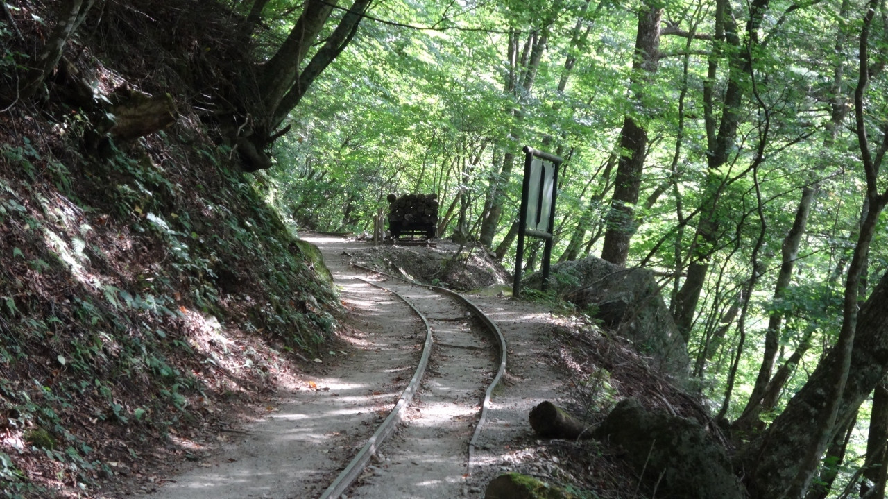 9.水辺の遊歩道を散策「西沢渓谷」/山梨県1680548