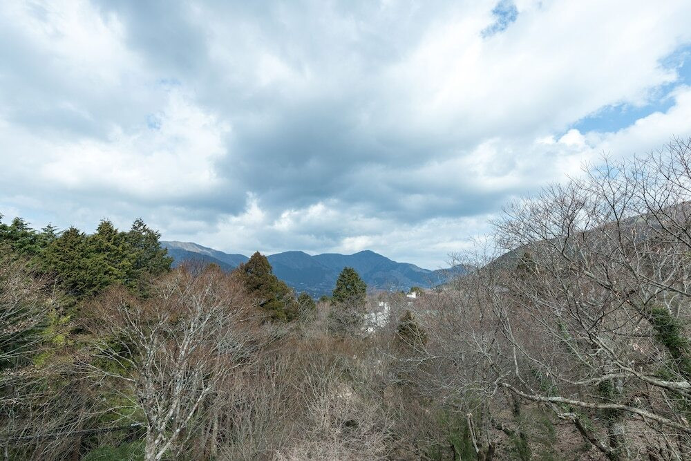 マウンテン ビュー