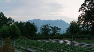 施設からの眺望 / 32